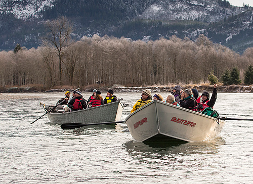 Skagit River Eagle Photography Tours